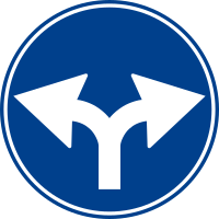 Sağa ve Sola Mecburi Yön